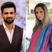 Various reports state that Shoaib Malik and Sania Mirza are getting divorced.