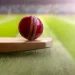 Cricket's inclusion in the Los Angeles Olympics 2028 has been postponed 6 Cricket's inclusion in the Los Angeles Olympics 2028 has been postponed
