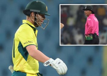 Umpire statistics should be displayed on a large screen, according to David Warner.