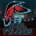 CPL announces the Antigua and Barbuda Falcons as a new team. 7 CPL announces the Antigua and Barbuda Falcons as a new team.