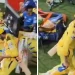 IPL 2024: Ravindra Jadeja steps in front of MS Dhoni to tease the Chepauk crowd, but he quickly retreats 7 IPL 2024: Ravindra Jadeja steps in front of MS Dhoni to tease the Chepauk crowd, but he quickly retreats