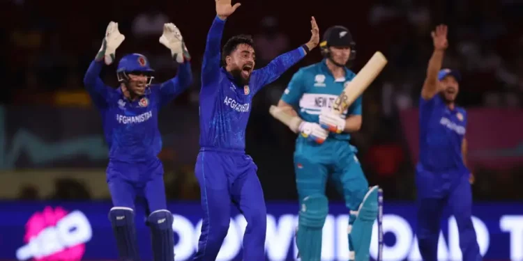 T20 World Cup 2024: NZ vs AFG - Who said What? 1 T20 World Cup 2024: NZ vs AFG - Who said What?