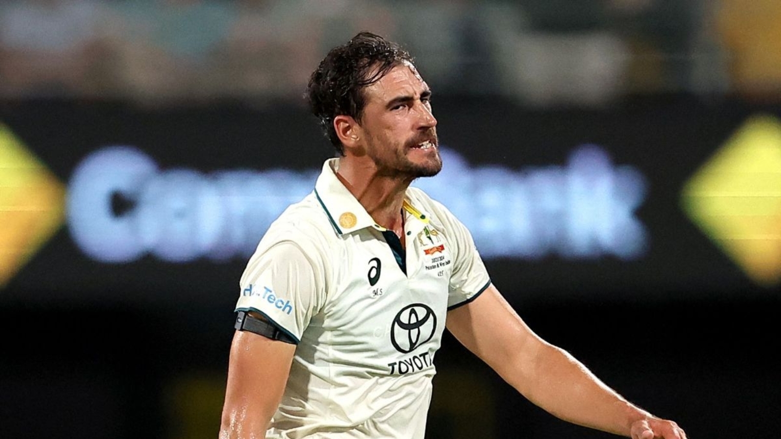 Win Test Mace for 2nd time would be a huge reward: Mitchell Starc