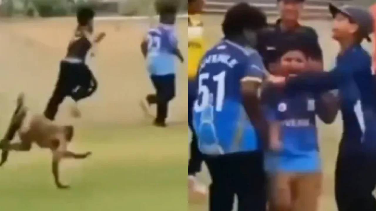 Monkey's interrupts cricket field and attacks young players - watch video
