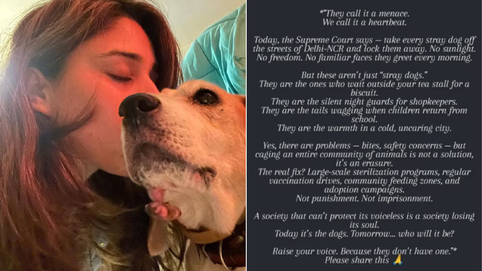 'These aren't just stray dogs' - Rohit Sharma's wife Ritika Sajdeh reacts to Supreme Court's order