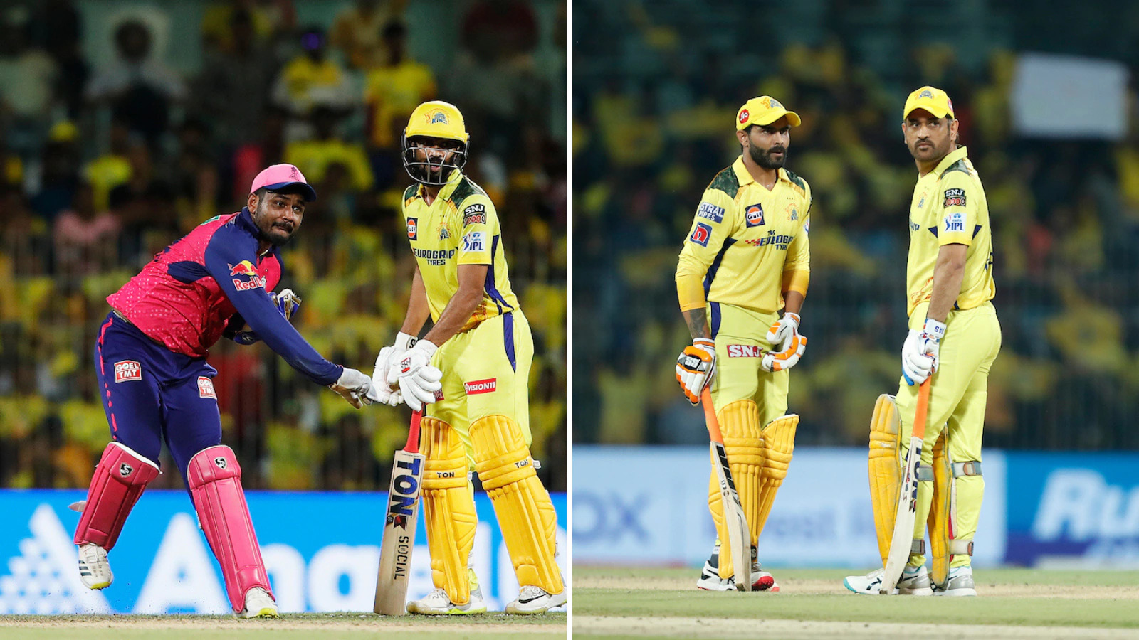 MS Dhoni will sacrifice Ravindra Jadeja to bring Sanju Samson in CSK for the team's benefit: Former India batter
